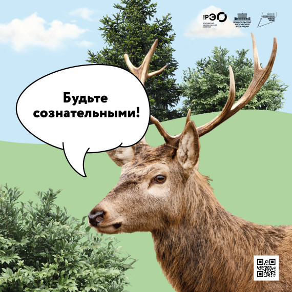 Популяризация раздельного сбора и осознанного потребления.